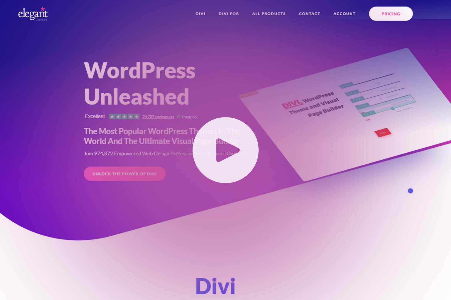 Divi Theme